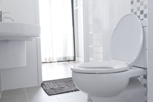 Toilet Seat Installation in Glen Allen