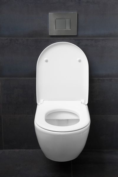 Toilet Lid Installation in Glen Allen
