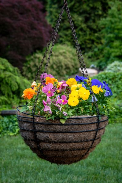 Hanging Basket Installation in Glen Allen