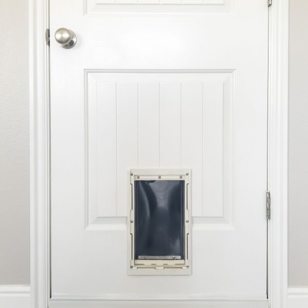 Pet Door Repair in Glen Allen