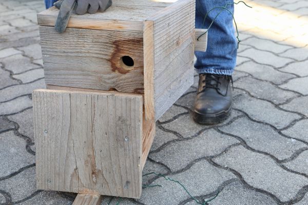 Birdhouse Mounting in Glen Allen
