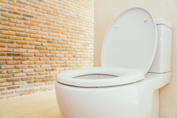Toilet Seat Repair in Glen Allen